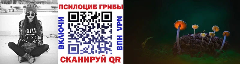 Псилоцибиновые грибы ЛСД Мглин